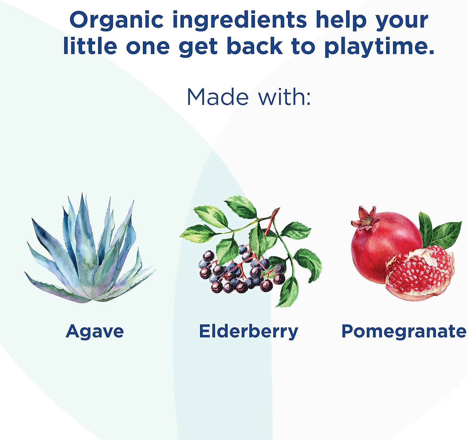 Hyland's Baby Organic Cough & Immune Day & Night Combo Pack, Eases Coughs, Supports Immunity, Promotes Sleep + Chest Rub, Soothe & Comfort Organic Lavender, Peppermint, & Chamomile Flower Oil - Image 4