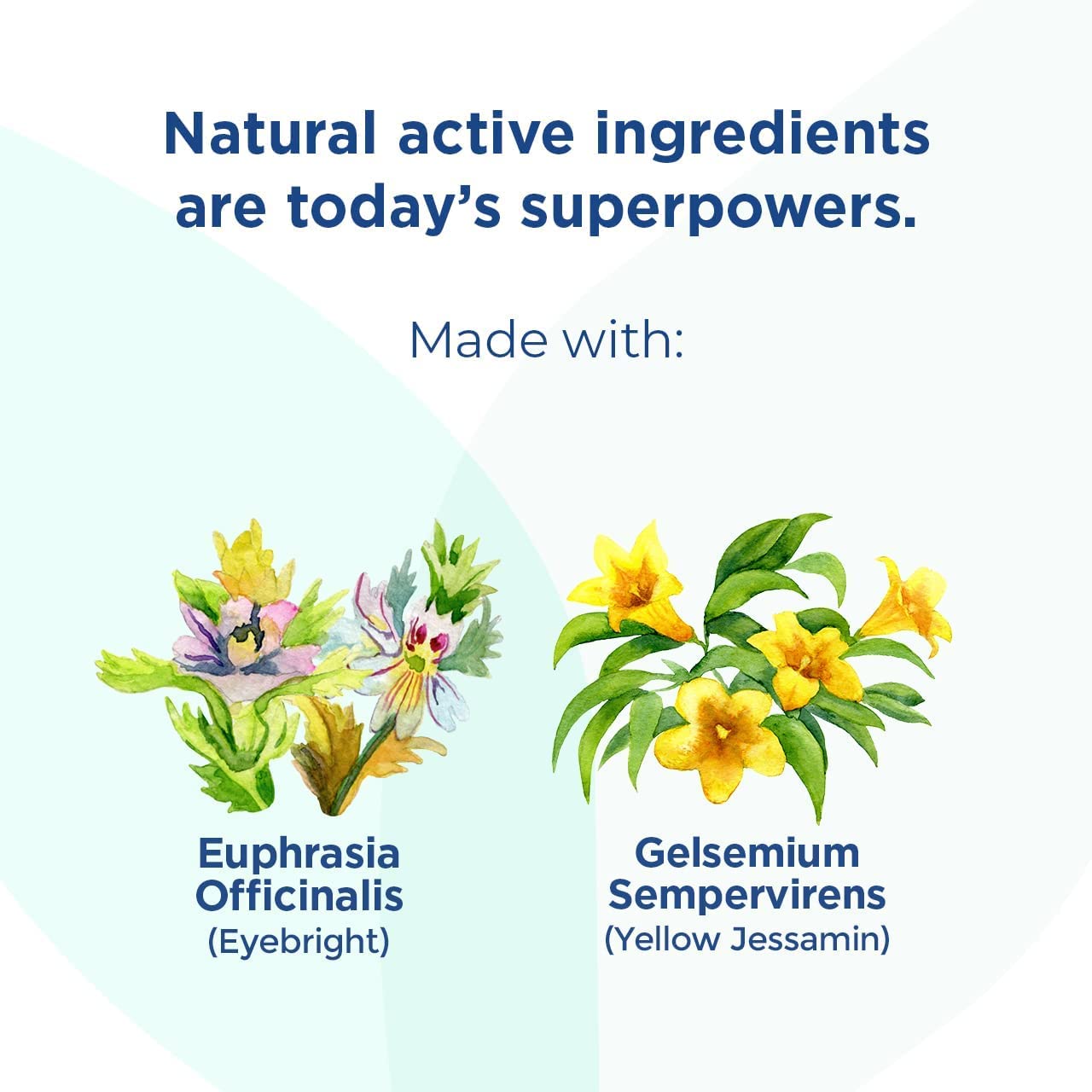 Hyland’s Baby Tiny Cold Tablets, Day and Night Value Pack, Infant and Baby Cold Medicine, Decongestant, Runny Nose and Cough Relief, 250 Quick-Dissolving Tablets - Image 4