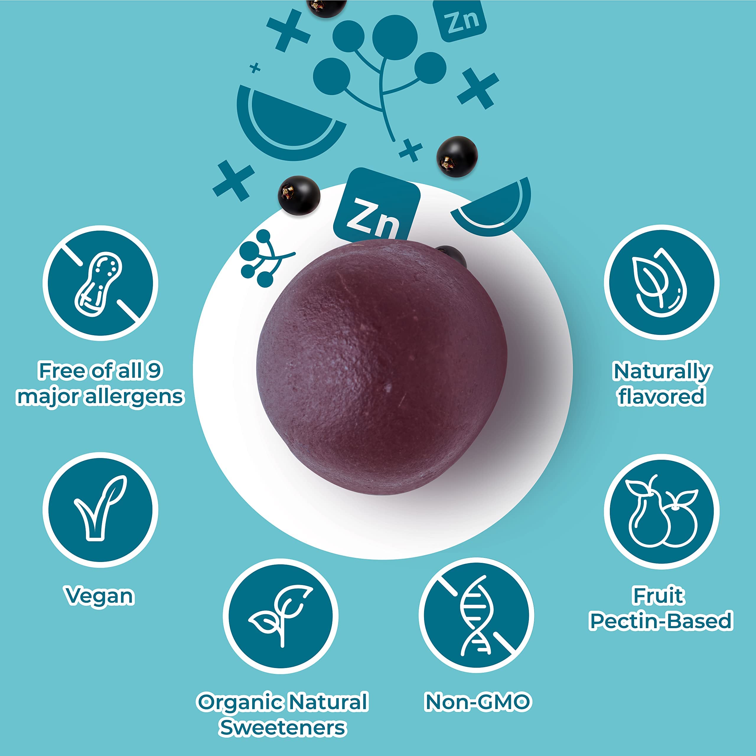 Hyland's Kids Organic Elderberry Plus Gummies, Organic Black Elderberry with ZINC and Vitamin C, Immune Support for Children, 48 Vegan Gummies - Image 6