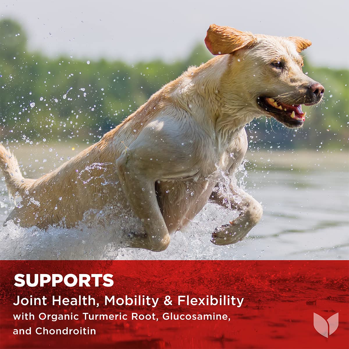 Hyland's Naturals - Dogs - Max Mobility, 90 Soft Chews, Supports Joint Health, Mobility & Flexibility, with Organic Turmeric Root, Glucosamine & Chondroitin, BBQ Chicken Flavor - Image 3
